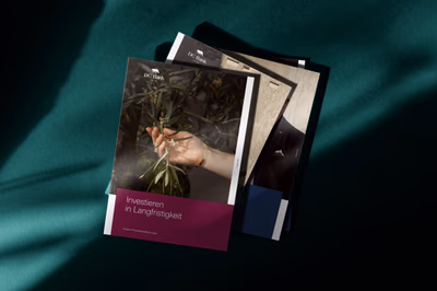 DC Bank Publikationen