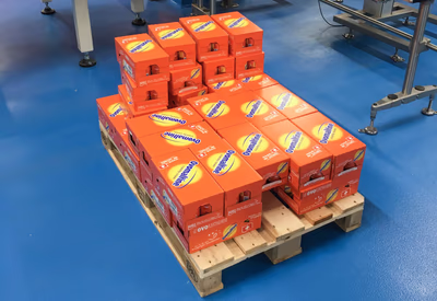 Noord Journal ISO Besuch