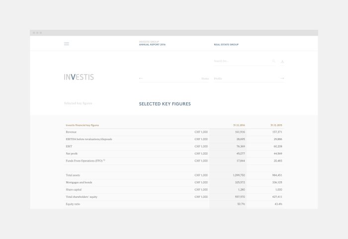 Investis Online Report 